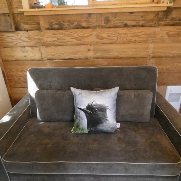 THROW PILLOW WITH REMOVABLE COVER -STELLAR JAY HAVING A BAD HAIR DAY - Picture 2 of 3